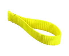 Racing Yellow